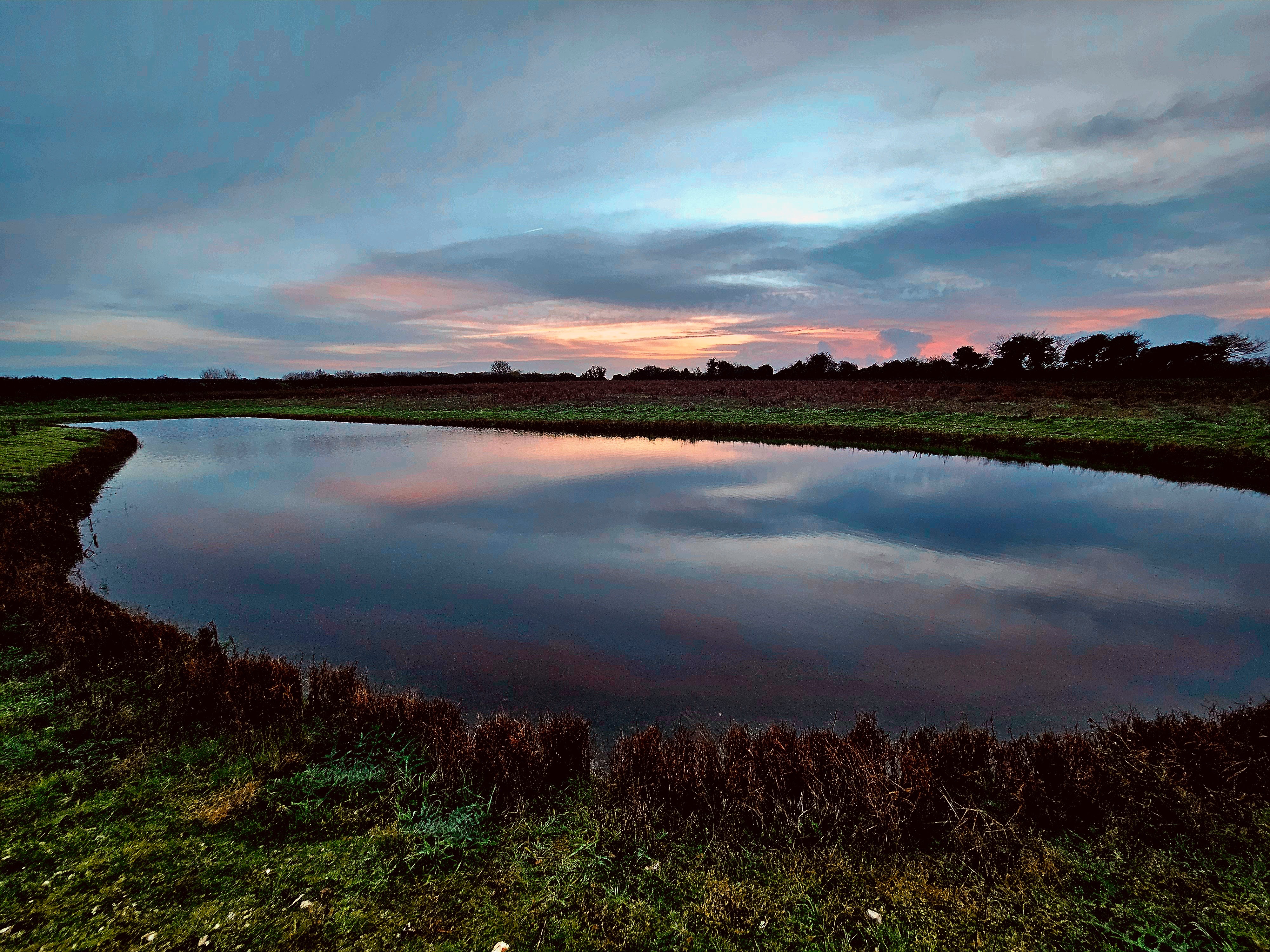 New pond at dusk, The Ferals